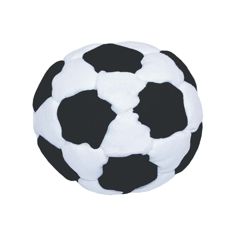 Footbag